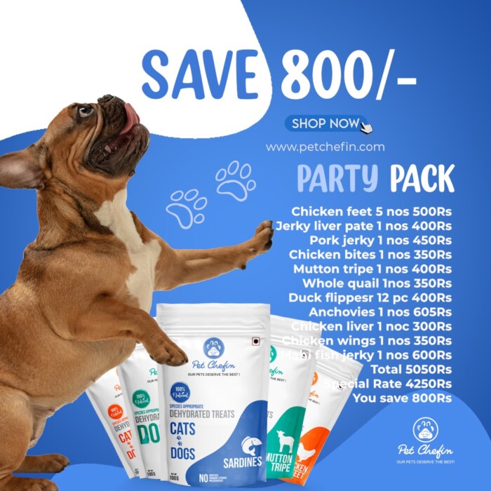 PARTY PACK